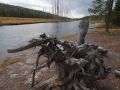 Arstein Yellowstone and Grand Tetons-16