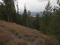 Arstein Yellowstone and Grand Tetons-19