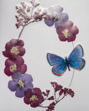Note Cards-2