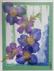 Note Cards-3