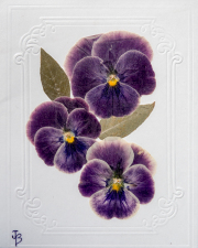 Note Cards-5