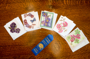 Note Cards-1