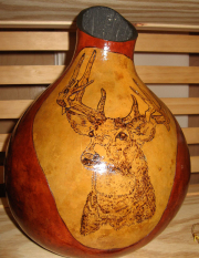 Flora and Fauna-4