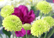 "Yellow Bouquet"
