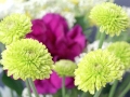 "Yellow Bouquet"