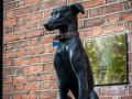 Good Dog