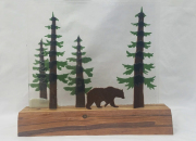 Bear in the Cedars