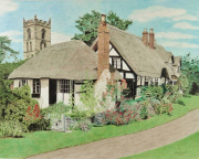 Thatched Cottages