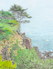 Which Way is Up - Oregon Coastline