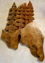 Redwood Trees