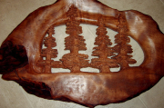 Redwood