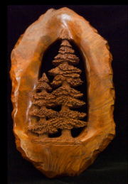 Pine Trees