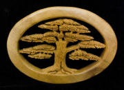 Cypress Tree
