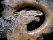 Horse Head