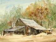 Star Barn