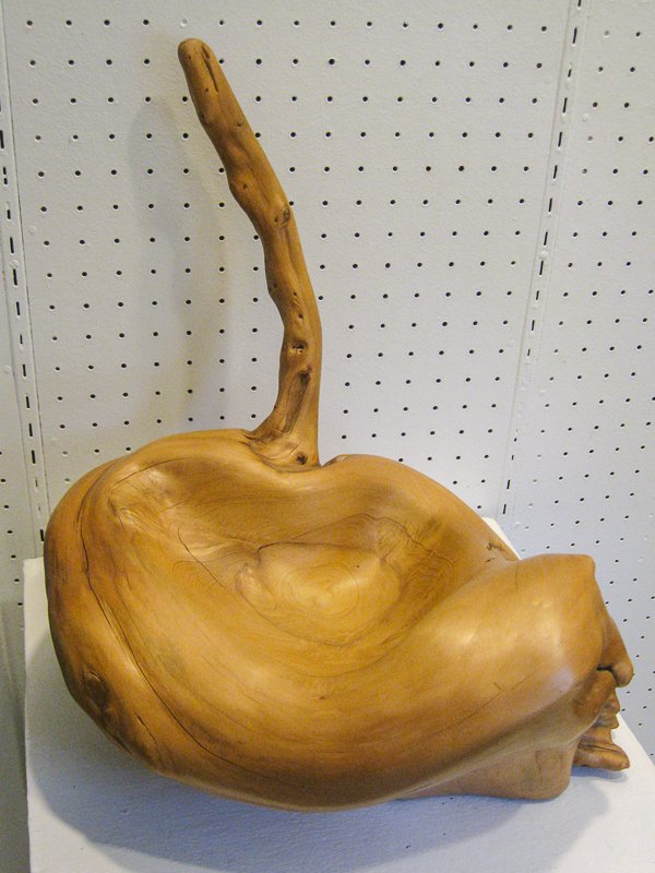 Pine Root Burl  “Lazy Cat”