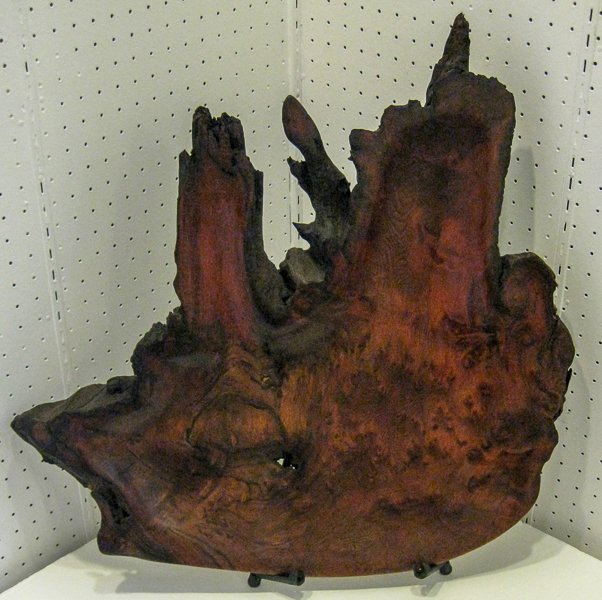 Redwood Burl Plate “Burning Forest”