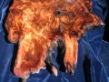 Redwood Burl Plate