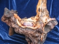 Cedar Vessel  “Fossilized Regeneration”