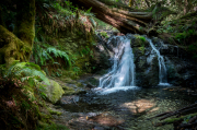 Rustic Falls, Moran State Park, Orcas Island