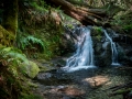 Rustic Falls, Moran State Park, Orcas Island