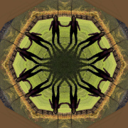 Kids Inc Mandala